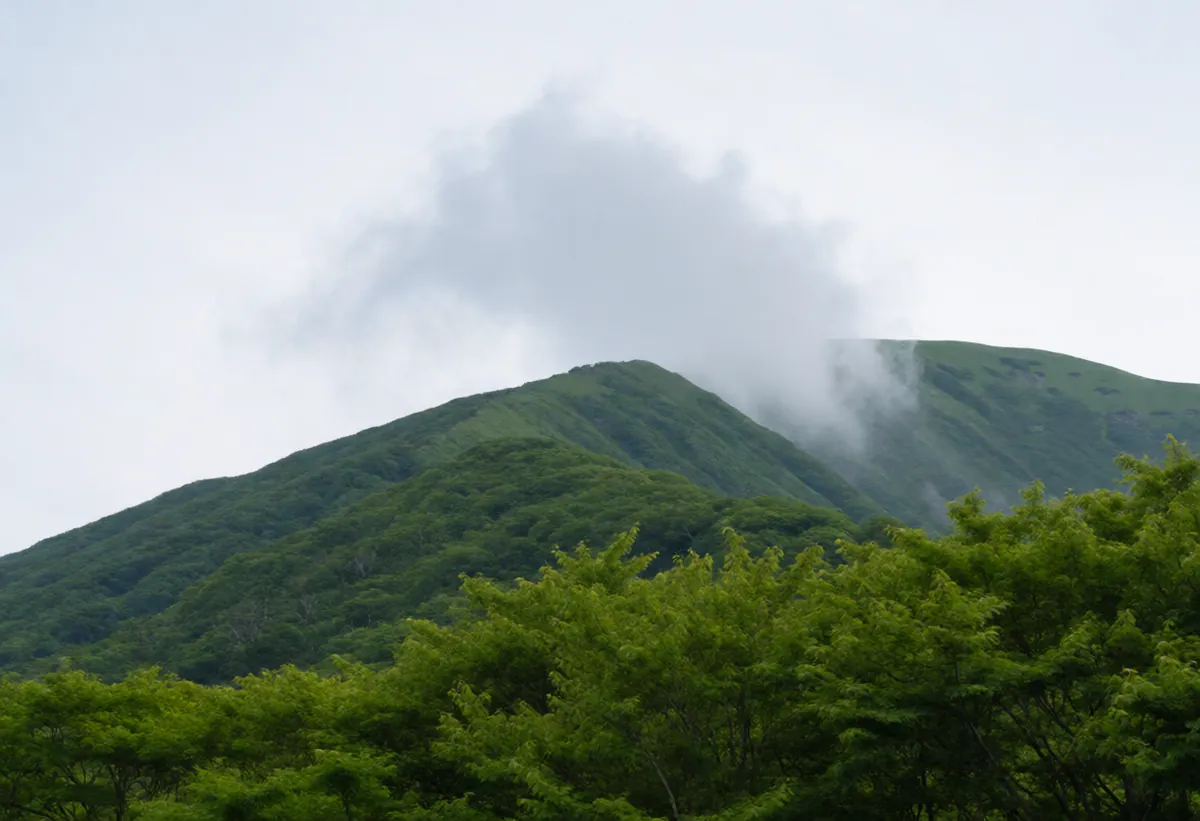 北海道は?富山は?異論続出のイメージ