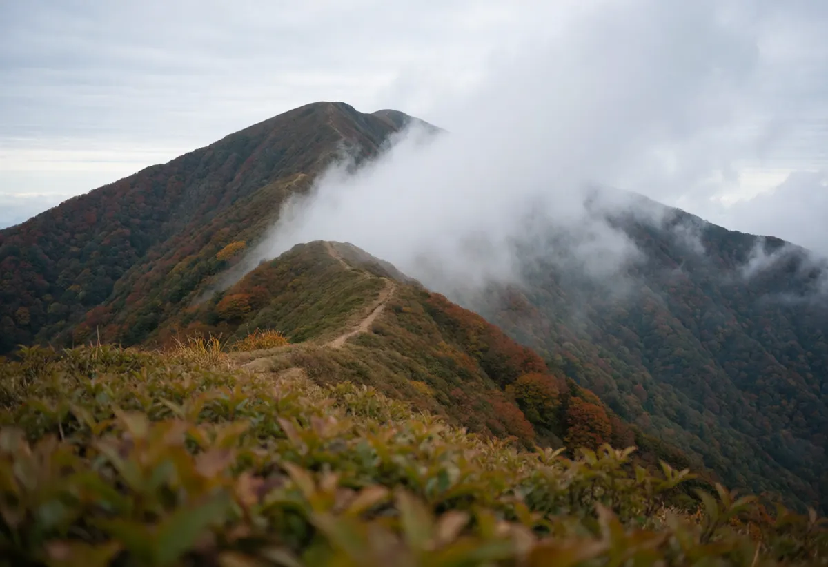 山梨で食べるものは、ほうとうだけに絞らなくていいのイメージ